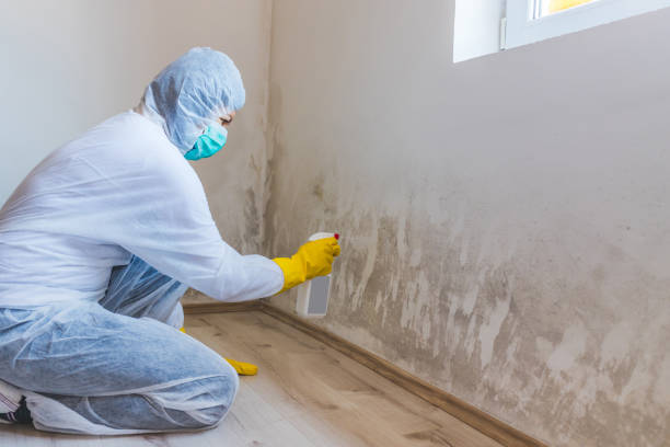 Licensed Crawl Space Mold Remediation service in Metuchen, NJ - 24 Hour Mold Removal