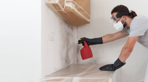 Professional Crawl Space Mold Remediation technician working in Metuchen, NJ
