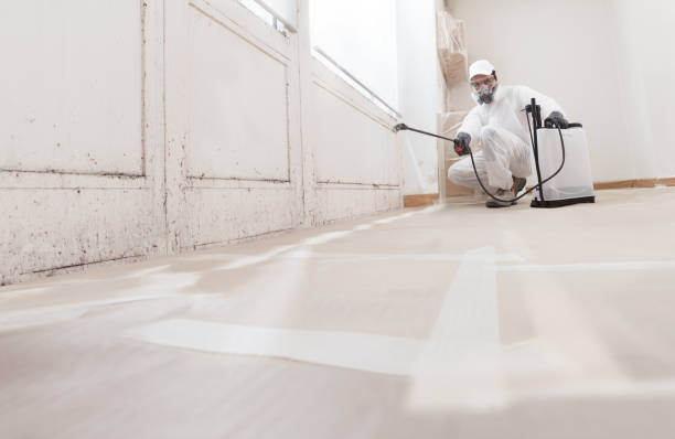 24/7 Emergency Crawl Space Mold Remediation experts in Metuchen, NJ