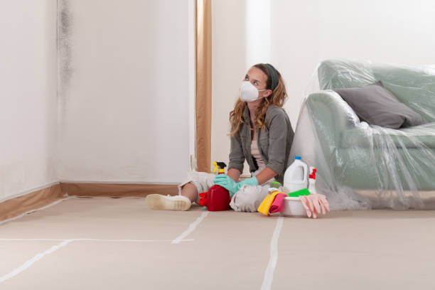 Reliable Crawl Space Mold Remediation contractor in Metuchen, NJ by 24 Hour Mold Removal